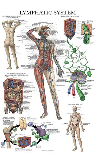 Explore small patchwork tattoo ideas, creative tattoo ideas in New York, available at Ag2g Laser Tattoo Removal & MedSpa