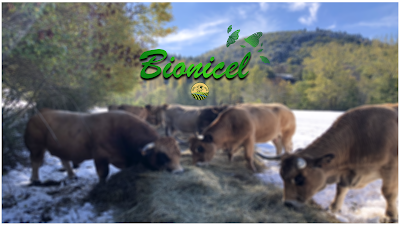 BIONICEL à Chadenet