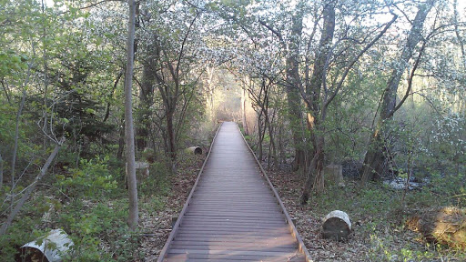 Nature Preserve «Dolan Pond Conservation Area», reviews and photos, Webster Park, West Newton, MA 02465, USA