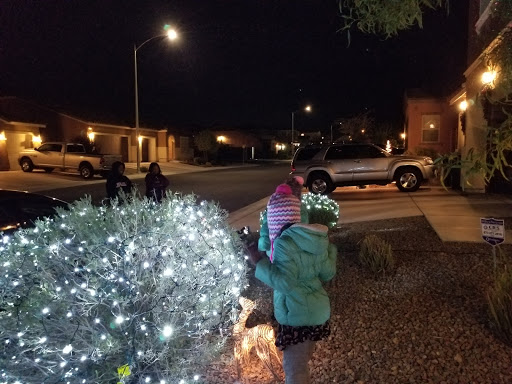 Discount Store «Big Lots», reviews and photos, 7781 W Tropical Pkwy, Las Vegas, NV 89149, USA