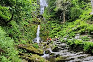 Pistyll Rhaeadr(Waterfall) image