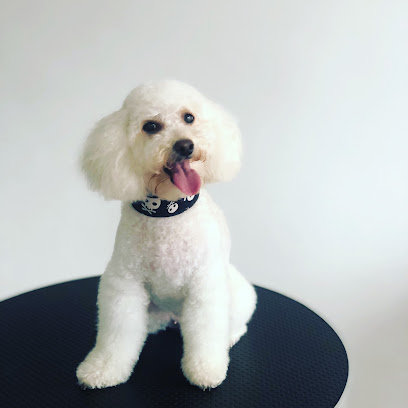 Hakito peluquería canina - Servicios para mascota en Madrid