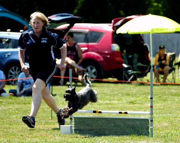Reviews of Canterbury Canine Agility Training Society in Christchurch - Dog trainer