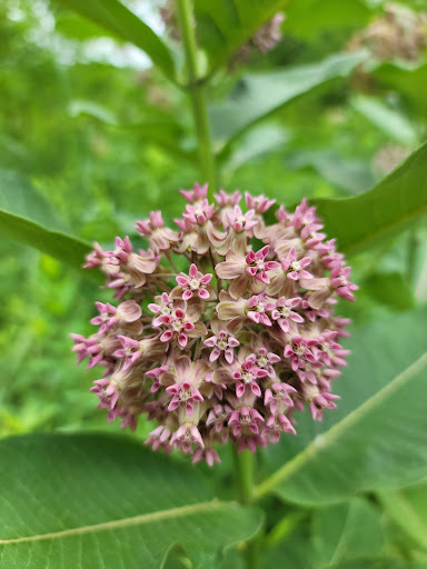 State Park «Willow River State Park», reviews and photos, 1034 County Highway A, Hudson, WI 54016, USA