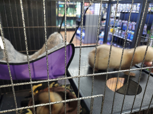 Pet Supply Store «Pet Supplies Plus», reviews and photos, 1380 W Lane Ave, Upper Arlington, OH 43221, USA