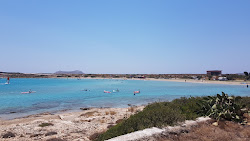 Chicken bay'in fotoğrafı çok temiz temizlik seviyesi ile