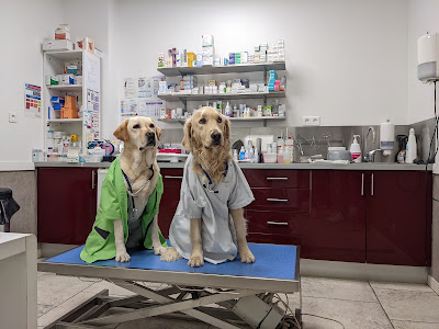 Société Vétérinaire Cas'Animalia à Ville-di-Pietrabugno