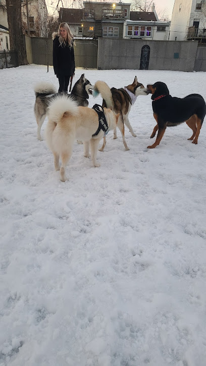 Campbell Memorial Park - Off Leash Dog Park