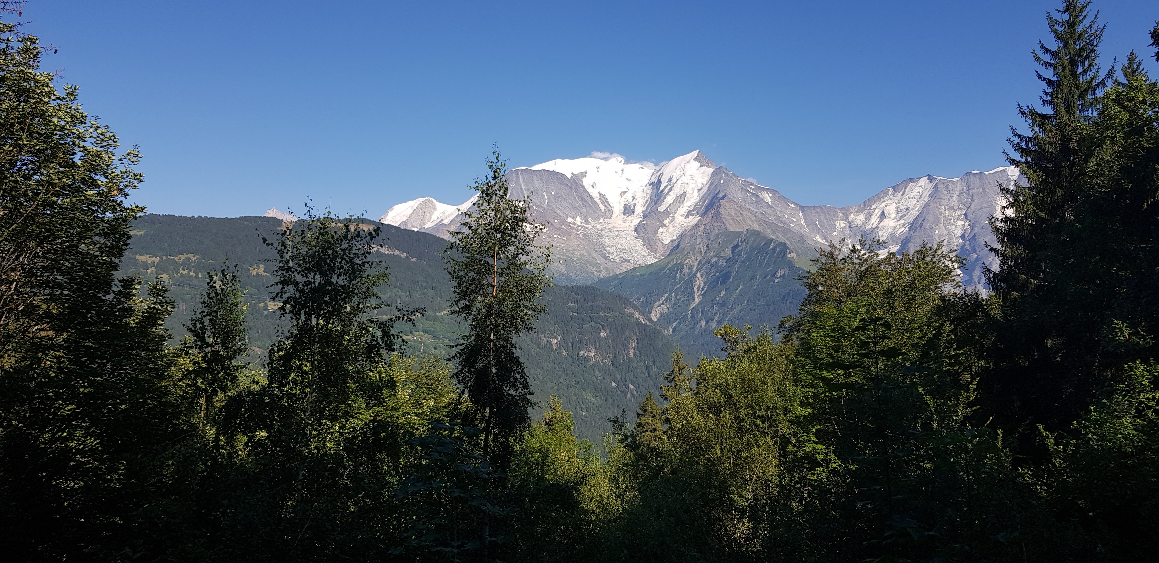 Photo n° 2 de l'avis de lili.e fait le 04/08/2019 à 16:48