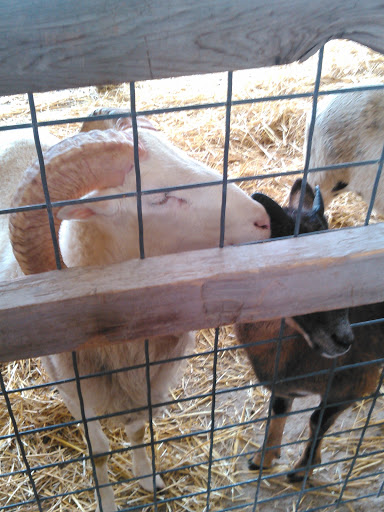 Nature Preserve «Arthur L. Janura Forest Preserve», reviews and photos, IL-58, Elgin, IL 60120, USA