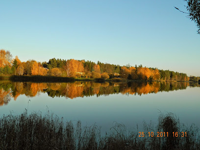 Kurepalu järv