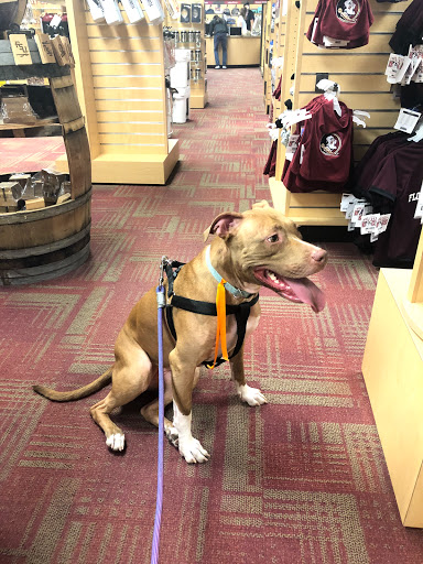 Book Store «Florida State University Bookstore», reviews and photos, 104 N Woodward Ave, Tallahassee, FL 32304, USA