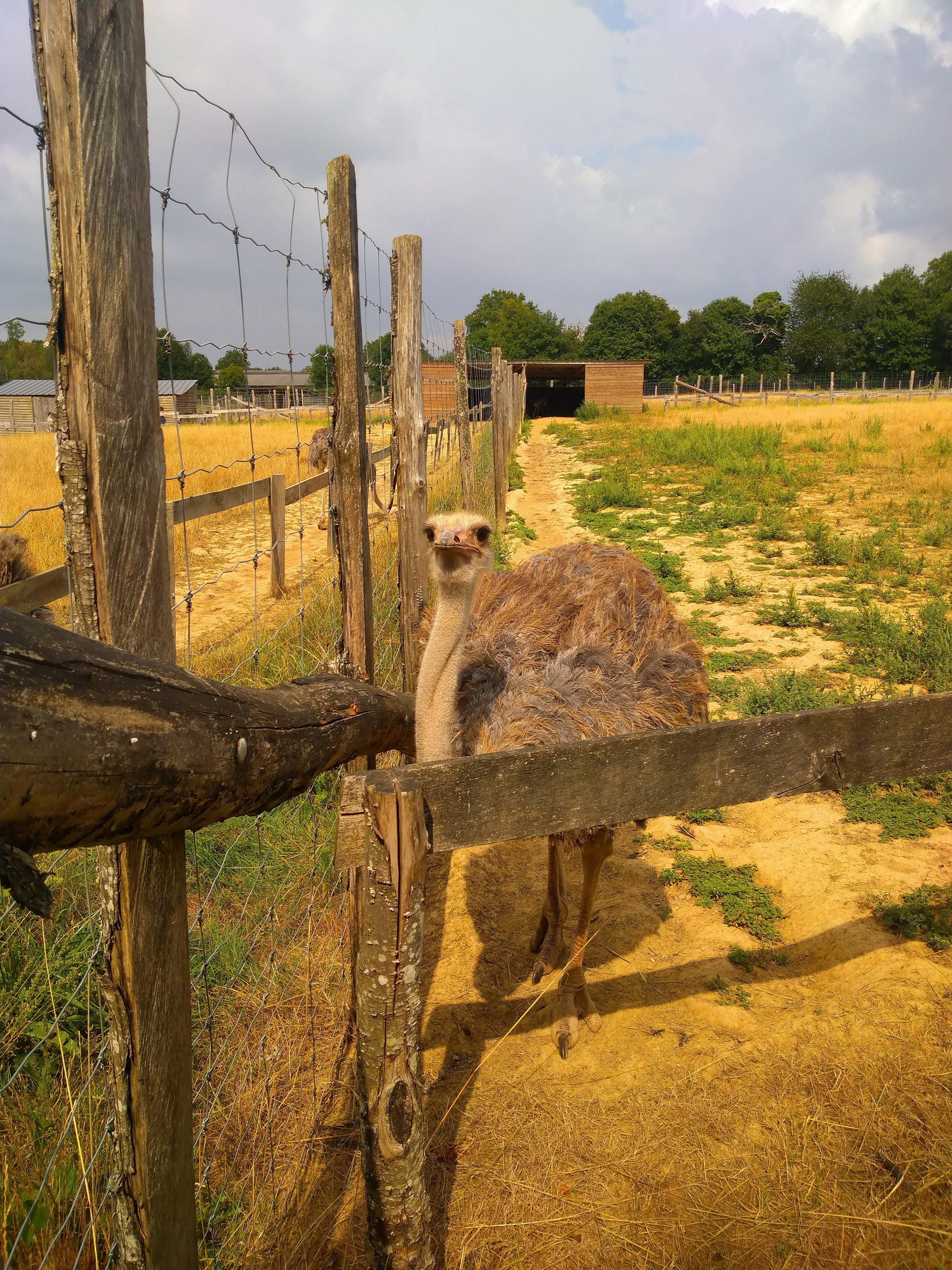 Photo n° 3 de l'avis de Dominique.e fait le 13/08/2020 à 19:03