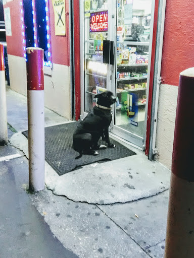 Park Ridge Grocery, 3792 Old Winter Garden Rd, Gotha, FL 34734, USA, 