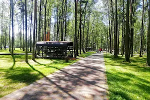 Olaine town’s forest park image