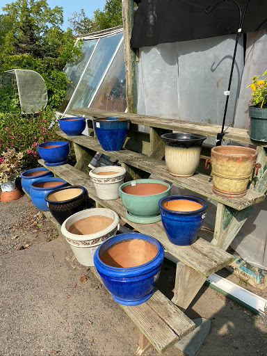 Florist «Butler Florist & Garden Center», reviews and photos, 416 Park Rd, West Hartford, CT 06119, USA