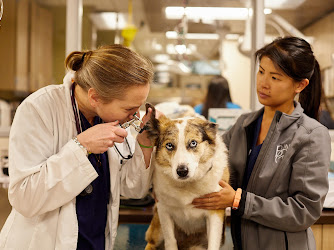 VCA Bay Area Veterinary Specialists & Emergency Hospital