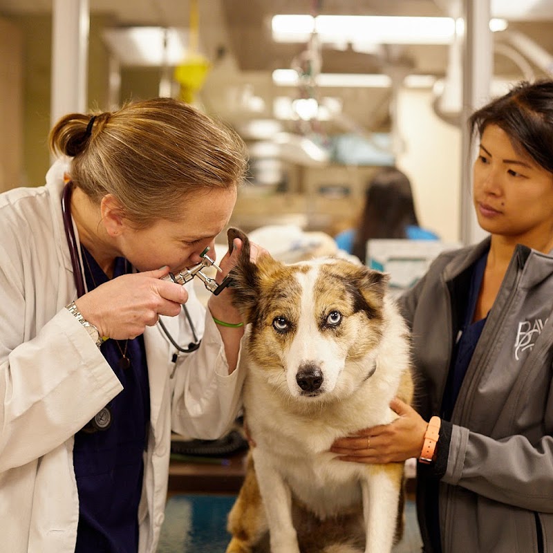 VCA Bay Area Veterinary Specialists & Emergency Hospital