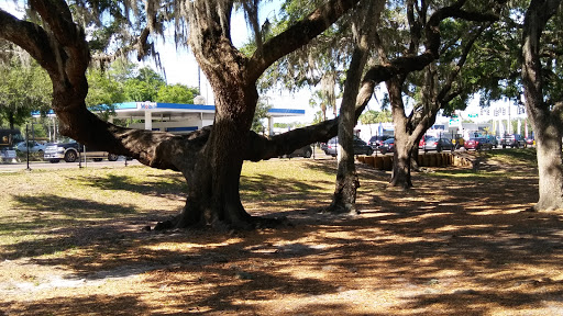 Park «Paul Sanders Park», reviews and photos, 3319 S Kings Ave, Brandon, FL 33511, USA