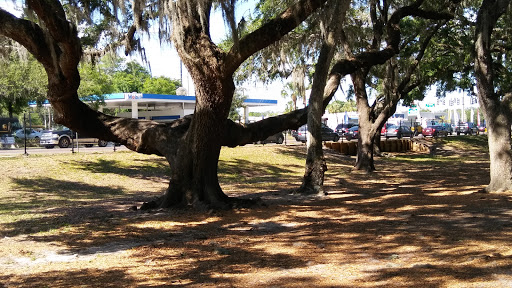 Park «Paul Sanders Park», reviews and photos, 3319 S Kings Ave, Brandon, FL 33511, USA