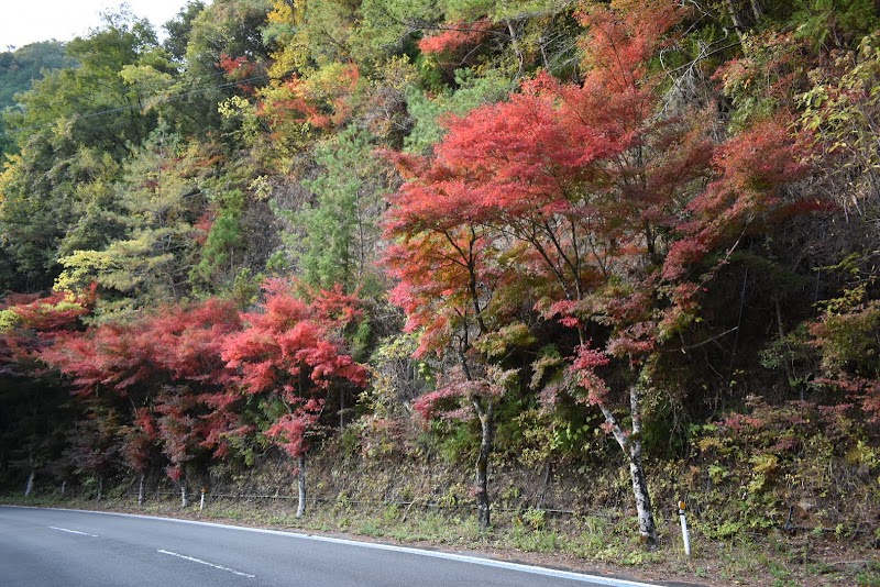 石鎚山 鳥居