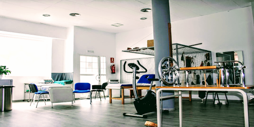 FISIOANTARES en Port de Sagunt