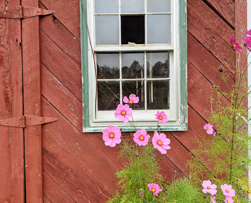 Vineyard «Linville Falls Winery», reviews and photos, 9557 Linville Falls Hwy, Newland, NC 28657, USA