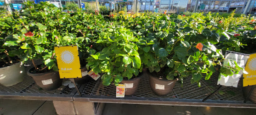 Electronics Store «Best Buy», reviews and photos, 13711 W Bell Rd, Surprise, AZ 85374, USA