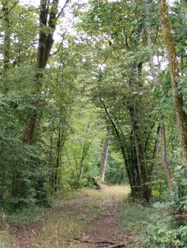 Point culminant de la Haute Marne à Aprey