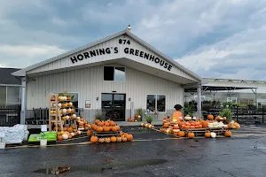 Horning Greenhouse & Garden Centers image