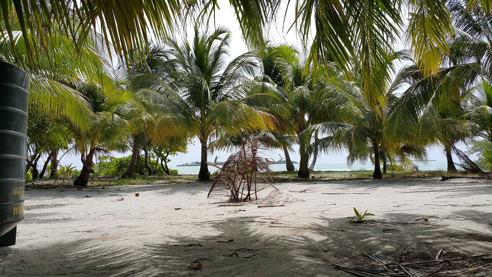 Foto av Maaveshi Beach med en rymlig kustlinje