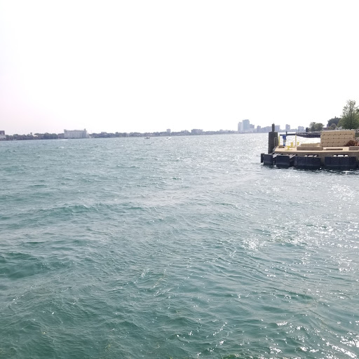 Park «Mt. Elliott Park», reviews and photos, 110 Mt Elliott St, Detroit, MI 48207, USA