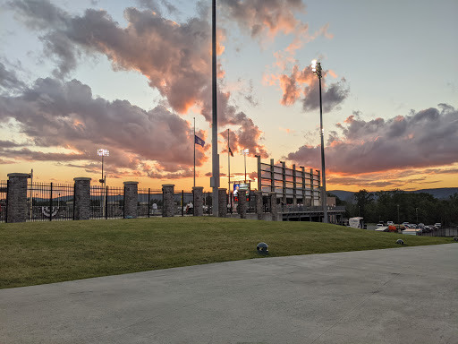 Stadium «Palisades Credit Union Park», reviews and photos