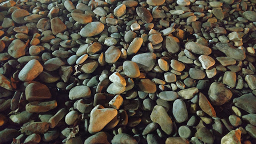 Hotel «Quality Inn & Suites West Waterpark», reviews and photos, 317 N Cedar Bluff Rd, Knoxville, TN 37923, USA