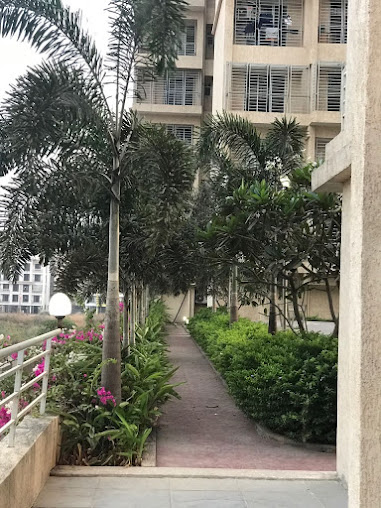 Google Maps image 12