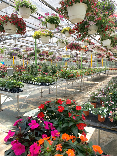 Florist «Dutch & Olgas Greenhouse», reviews and photos, 1285 NJ-36, Hazlet, NJ 07730, USA