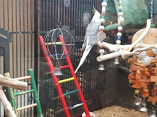 Pet Supply Store «PetSmart», reviews and photos, 9041 Snowden Square Dr, Columbia, MD 21045, USA