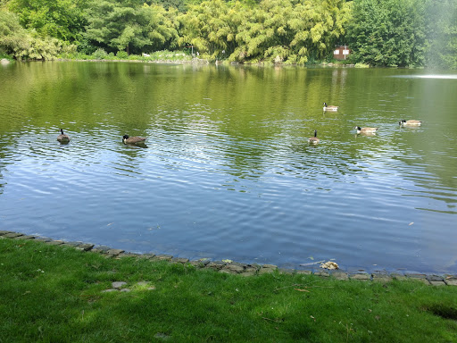 Entenweiher im Herzogenried Park