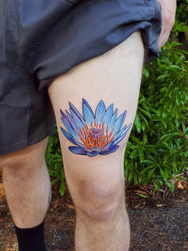 Explore tattoo ideas vines, creative tattoo ideas in Bellingham, available at Beluga Palooza Tattoo