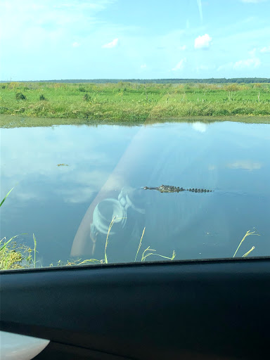 Nature Preserve «Lake Apopka Wildlife Drive», reviews and photos, 2803 Lust Rd, Apopka, FL 32703, USA