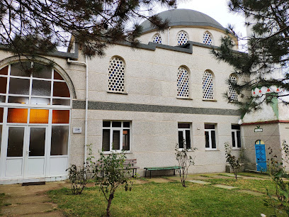 Джамия Коруджу
