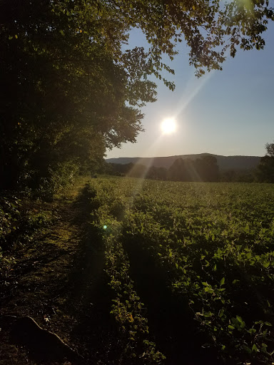 Grocery Store «Kreeky Tree Farm», reviews and photos, 8755 Jones Rd, Slatington, PA 18080, USA