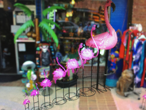 Gift Shop «Blue Frog Imports», reviews and photos, 8608 Main St, Woodstock, GA 30188, USA