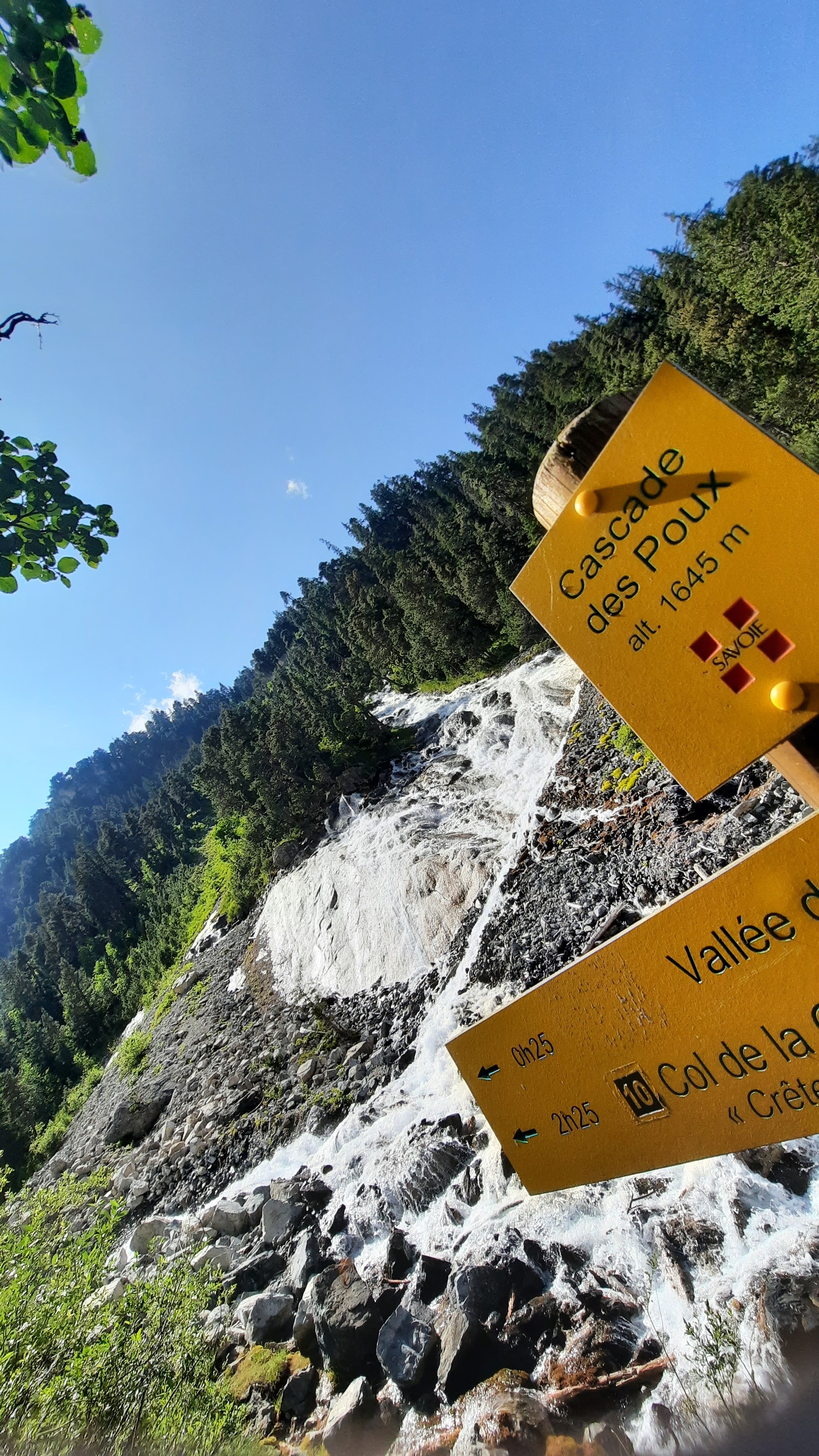 Photo n° 5 de l'avis de Zaza.r fait le 23/07/2023 à 19:07