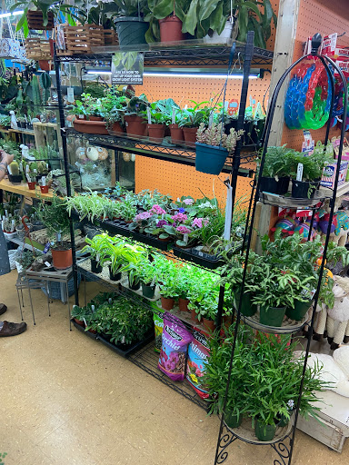 Garden Center «Chesterton Feed & Garden Center», reviews and photos, 400 Locust St, Chesterton, IN 46304, USA