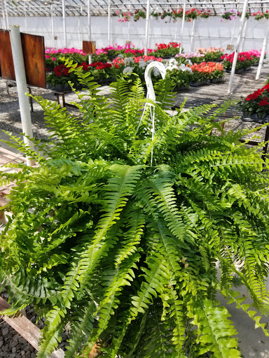 Hardware Store «South Hills Hardware», reviews and photos, 224 Old Brookpark Rd, Cleveland, OH 44109, USA