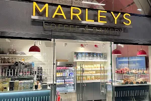 Marley's Cupcakes image