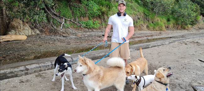 Four Paws Training NZ - Dog trainer