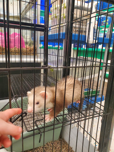 Pet Supply Store «Pet Supplies Plus», reviews and photos, 605 Grand Central Ave, Vienna, WV 26105, USA