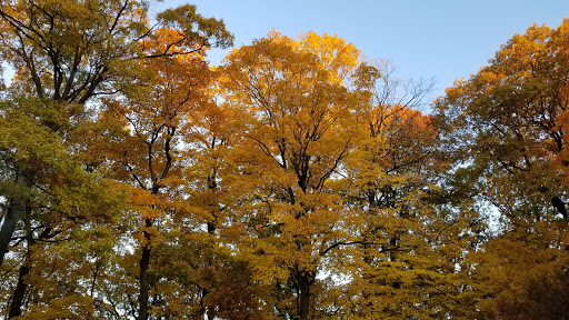 Museum «Pilcher Park Nature Center», reviews and photos, 2501 Highland Park Dr, Joliet, IL 60432, USA